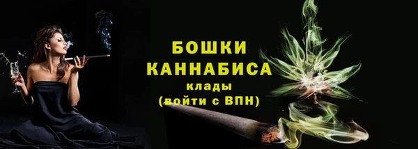 2c-b Заводоуковск