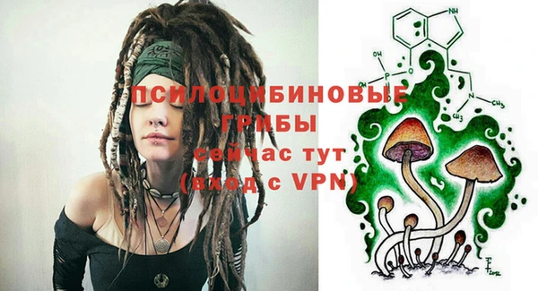 ALPHA-PVP Елизово
