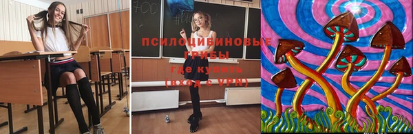 ALPHA-PVP Елизово