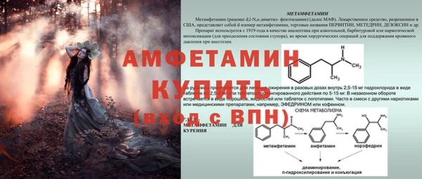 ГАЛЛЮЦИНОГЕННЫЕ ГРИБЫ Заволжск