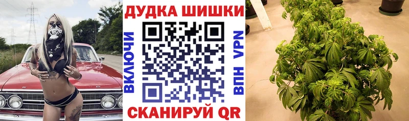 Купить Кизляр МАРИХУАНА индика
